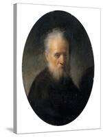 Bearded Old Man-Rembrandt van Rijn-Stretched Canvas