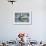 Bearded Seal Dives from Sea Ice in Hudson Bay, Nunavut, Canada-Paul Souders-Framed Photographic Print displayed on a wall