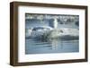 Bearded Seal Dives from Sea Ice in Hudson Bay, Nunavut, Canada-Paul Souders-Framed Photographic Print