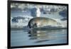 Bearded Seal Dives from Sea Ice in Hudson Bay, Nunavut, Canada-Paul Souders-Framed Photographic Print