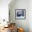 Bearded Seal (Erignathus Barbatus) Hauled Out On Ice, Spitsbergen, Svalbard, Norway, September-Staffan Widstrand-Framed Photographic Print displayed on a wall