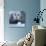 Bearded Seal (Erignathus Barbatus) Hauled Out On Ice, Spitsbergen, Svalbard, Norway, September-Staffan Widstrand-Photographic Print displayed on a wall