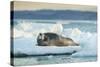 Bearded Seal, Nunavut Territory, Canadabearded Seal on Sea Ice in Hudson Bay, Nunavut, Canada-Paul Souders-Stretched Canvas