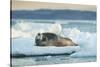 Bearded Seal, Nunavut Territory, Canadabearded Seal on Sea Ice in Hudson Bay, Nunavut, Canada-Paul Souders-Stretched Canvas