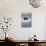 Bearded Seal, on Iceberg, Svalbard, Norway-null-Photographic Print displayed on a wall