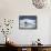 Bearded Seal Resting on Sea Ice Along Lomfjorden at Sunset, Spitsbergen Island, Svalbard, Norway-Paul Souders-Framed Stretched Canvas displayed on a wall