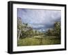 Bearded Trees, Tierra Del Fuego, Argentina-Peter Groenendijk-Framed Photographic Print