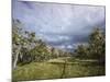 Bearded Trees, Tierra Del Fuego, Argentina-Peter Groenendijk-Mounted Photographic Print