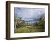 Bearded Trees, Tierra Del Fuego, Argentina-Peter Groenendijk-Framed Photographic Print