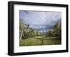 Bearded Trees, Tierra Del Fuego, Argentina-Peter Groenendijk-Framed Photographic Print