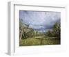 Bearded Trees, Tierra Del Fuego, Argentina-Peter Groenendijk-Framed Photographic Print