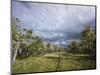 Bearded Trees, Tierra Del Fuego, Argentina-Peter Groenendijk-Mounted Photographic Print