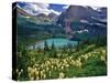 Beargrass above Grinnell Lake, Many Glacier Valley, Glacier National Park, Montana, USA-Chuck Haney-Stretched Canvas