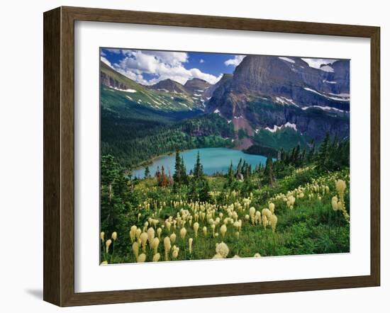 Beargrass above Grinnell Lake, Many Glacier Valley, Glacier National Park, Montana, USA-Chuck Haney-Framed Premium Photographic Print