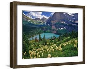 Beargrass above Grinnell Lake, Many Glacier Valley, Glacier National Park, Montana, USA-Chuck Haney-Framed Premium Photographic Print