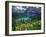 Beargrass above Grinnell Lake, Many Glacier Valley, Glacier National Park, Montana, USA-Chuck Haney-Framed Premium Photographic Print