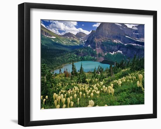 Beargrass above Grinnell Lake, Many Glacier Valley, Glacier National Park, Montana, USA-Chuck Haney-Framed Premium Photographic Print