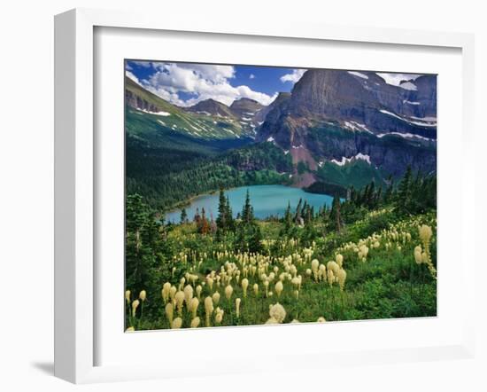 Beargrass above Grinnell Lake, Many Glacier Valley, Glacier National Park, Montana, USA-Chuck Haney-Framed Premium Photographic Print