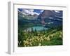 Beargrass above Grinnell Lake, Many Glacier Valley, Glacier National Park, Montana, USA-Chuck Haney-Framed Premium Photographic Print