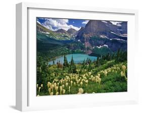 Beargrass above Grinnell Lake, Many Glacier Valley, Glacier National Park, Montana, USA-Chuck Haney-Framed Premium Photographic Print