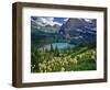 Beargrass above Grinnell Lake, Many Glacier Valley, Glacier National Park, Montana, USA-Chuck Haney-Framed Photographic Print