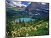 Beargrass above Grinnell Lake, Many Glacier Valley, Glacier National Park, Montana, USA-Chuck Haney-Mounted Photographic Print