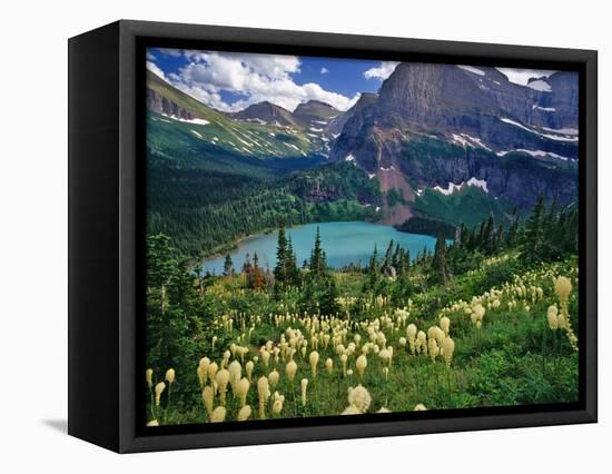 Beargrass above Grinnell Lake, Many Glacier Valley, Glacier National Park, Montana, USA-Chuck Haney-Framed Stretched Canvas