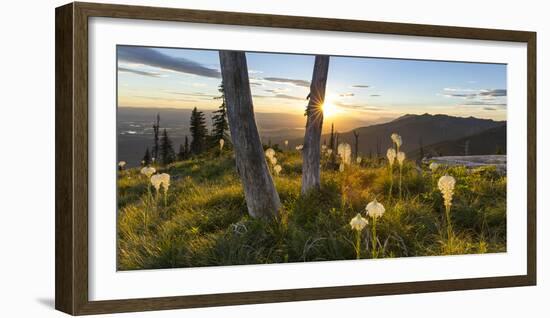 Beargrass at Sunset in the Swan Range, Flathead Valley, Montana-Chuck Haney-Framed Photographic Print