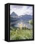 Beargrass, Hidden Lake and Mount Reynolds, Glacier National Park, Montana, USA-Geoff Renner-Framed Stretched Canvas