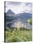 Beargrass, Hidden Lake and Mount Reynolds, Glacier National Park, Montana, USA-Geoff Renner-Stretched Canvas