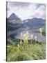 Beargrass, Hidden Lake and Mount Reynolds, Glacier National Park, Montana, USA-Geoff Renner-Stretched Canvas