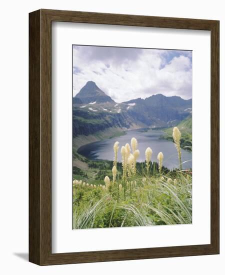 Beargrass, Hidden Lake and Mount Reynolds, Glacier National Park, Montana, USA-Geoff Renner-Framed Photographic Print