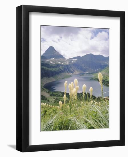 Beargrass, Hidden Lake and Mount Reynolds, Glacier National Park, Montana, USA-Geoff Renner-Framed Photographic Print