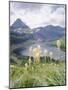Beargrass, Hidden Lake and Mount Reynolds, Glacier National Park, Montana, USA-Geoff Renner-Mounted Photographic Print