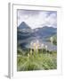 Beargrass, Hidden Lake and Mount Reynolds, Glacier National Park, Montana, USA-Geoff Renner-Framed Photographic Print