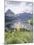 Beargrass, Hidden Lake and Mount Reynolds, Glacier National Park, Montana, USA-Geoff Renner-Mounted Photographic Print