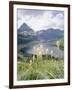 Beargrass, Hidden Lake and Mount Reynolds, Glacier National Park, Montana, USA-Geoff Renner-Framed Photographic Print