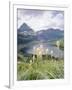 Beargrass, Hidden Lake and Mount Reynolds, Glacier National Park, Montana, USA-Geoff Renner-Framed Photographic Print