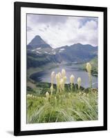 Beargrass, Hidden Lake and Mount Reynolds, Glacier National Park, Montana, USA-Geoff Renner-Framed Photographic Print