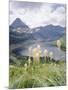 Beargrass, Hidden Lake and Mount Reynolds, Glacier National Park, Montana, USA-Geoff Renner-Mounted Photographic Print