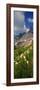 Beargrass (Xerophyllum Tenax) with Mountains in the Background, Us Glacier National Park-null-Framed Photographic Print