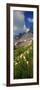 Beargrass (Xerophyllum Tenax) with Mountains in the Background, Us Glacier National Park-null-Framed Photographic Print