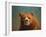 Bearish-James W. Johnson-Framed Giclee Print