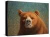 Bearish-James W. Johnson-Stretched Canvas