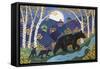 Bearly Midnight-K.C. Grapes-Framed Stretched Canvas