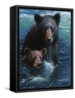 Bearly Swimming-Kevin Daniel-Framed Stretched Canvas