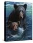 Bearly Swimming-Kevin Daniel-Stretched Canvas