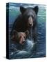 Bearly Swimming-Kevin Daniel-Stretched Canvas