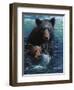 Bearly Swimming-Kevin Daniel-Framed Art Print