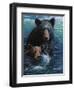 Bearly Swimming-Kevin Daniel-Framed Art Print